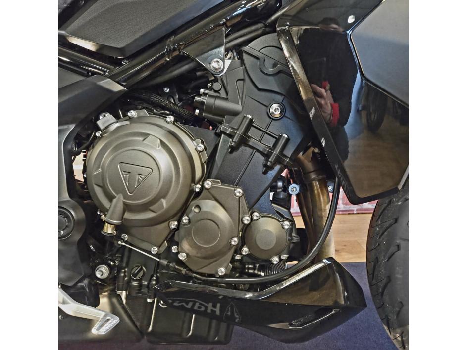 TRIUMPH TIGER SPORT 800