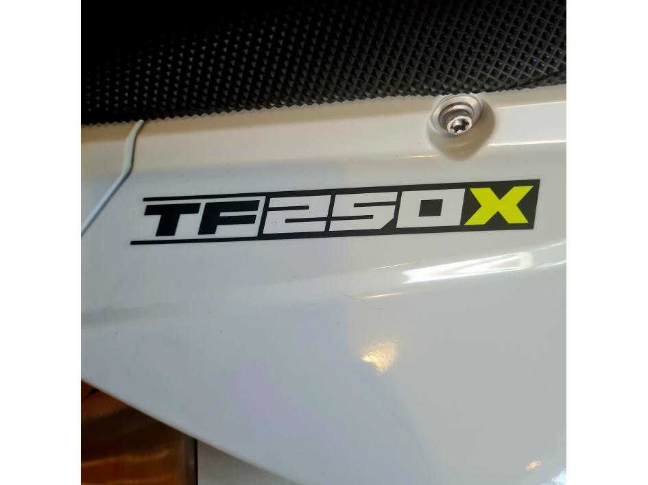 TRIUMPH TF 250-X