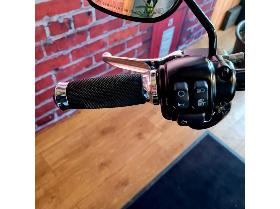 HARLEY-DAVIDSON SOFTAIL STREET BOB 1745