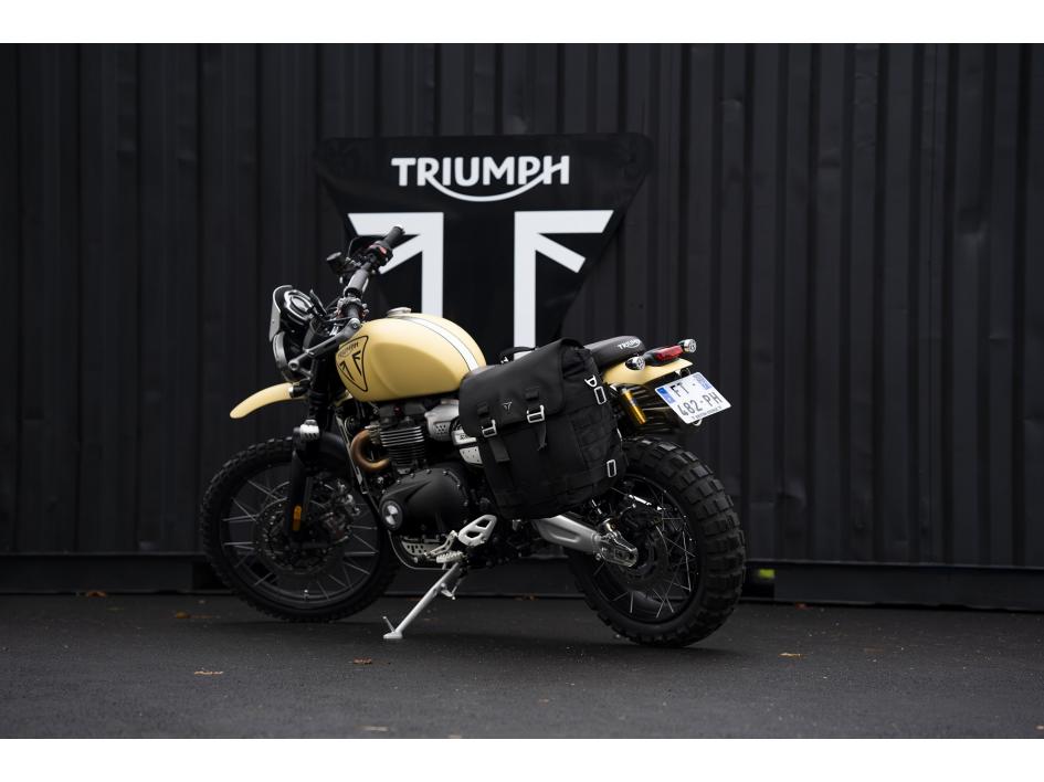 SCRAMBLER 1200 XC by BRITISH AVENUE